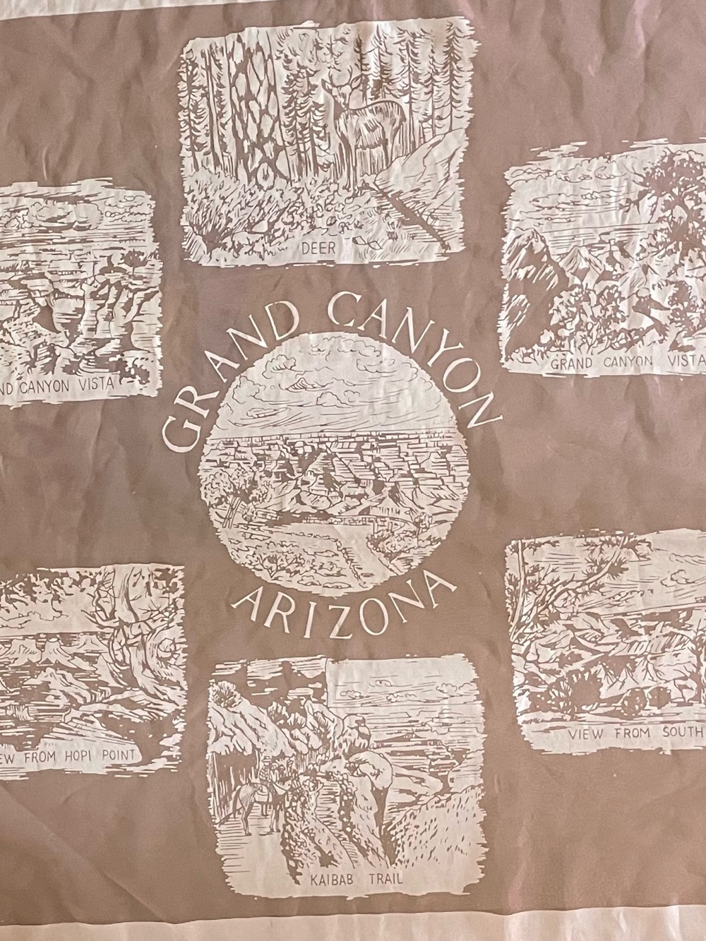 Vintage 50s Grand Canyon Souvenir Sheer Scarf 28 In Mint Condition